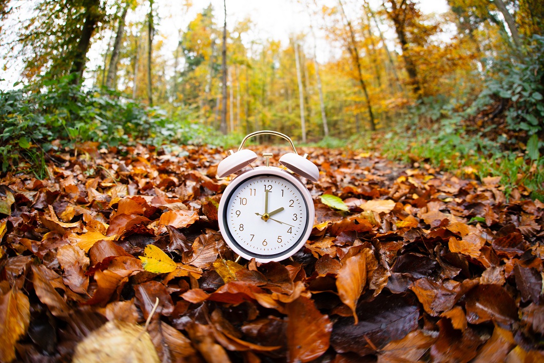 A picture of a clock on autumn foliage