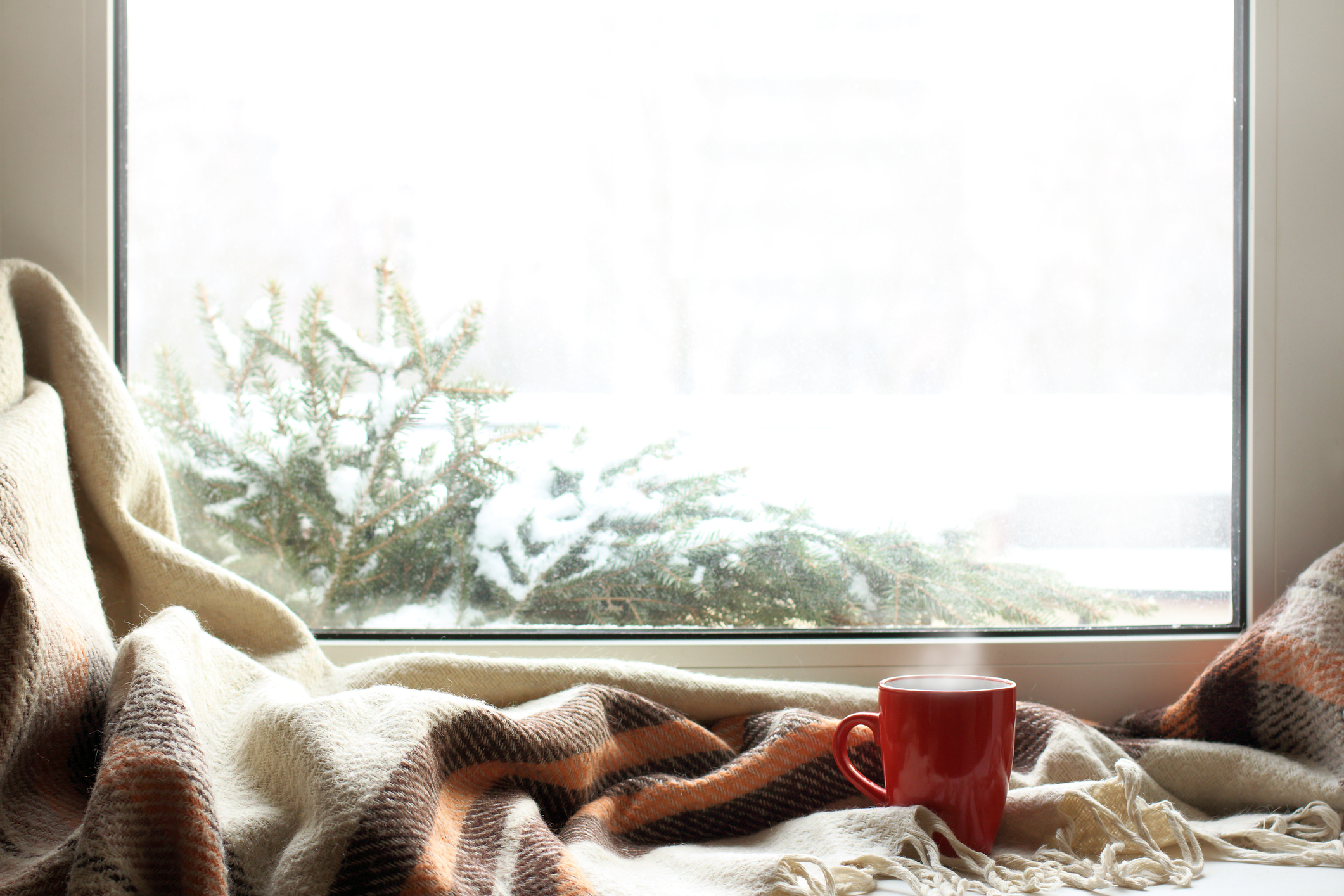 A red mug near a window